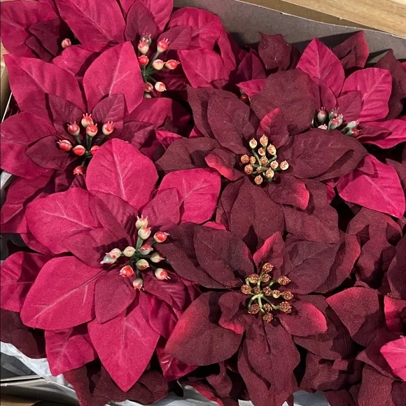 Vintage Lot of 35 Variety Poinsettias For Holiday Decorations